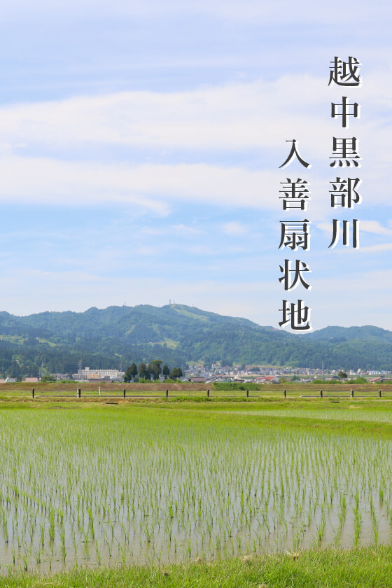 越中黒部川入善扇状地 米原 章浩氏