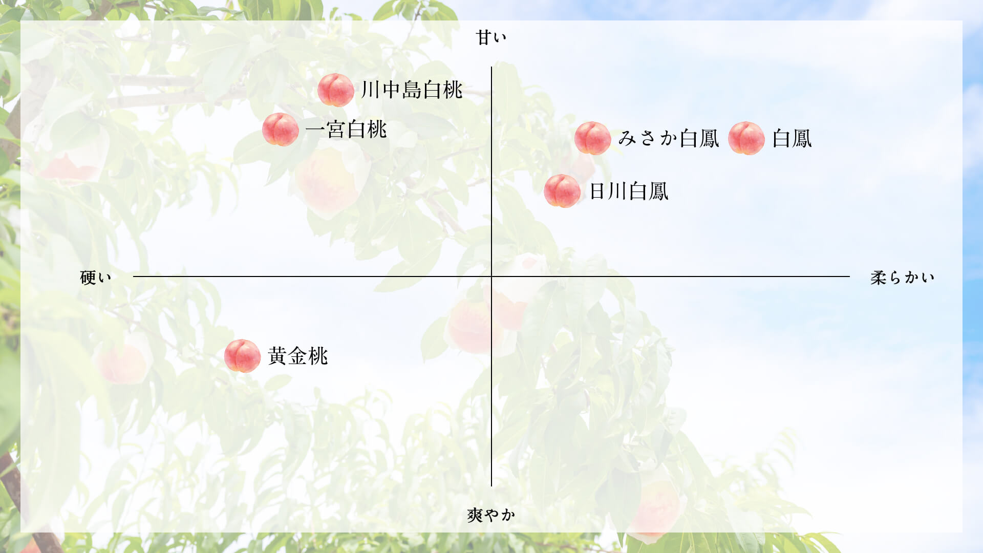 桃の品種チャート