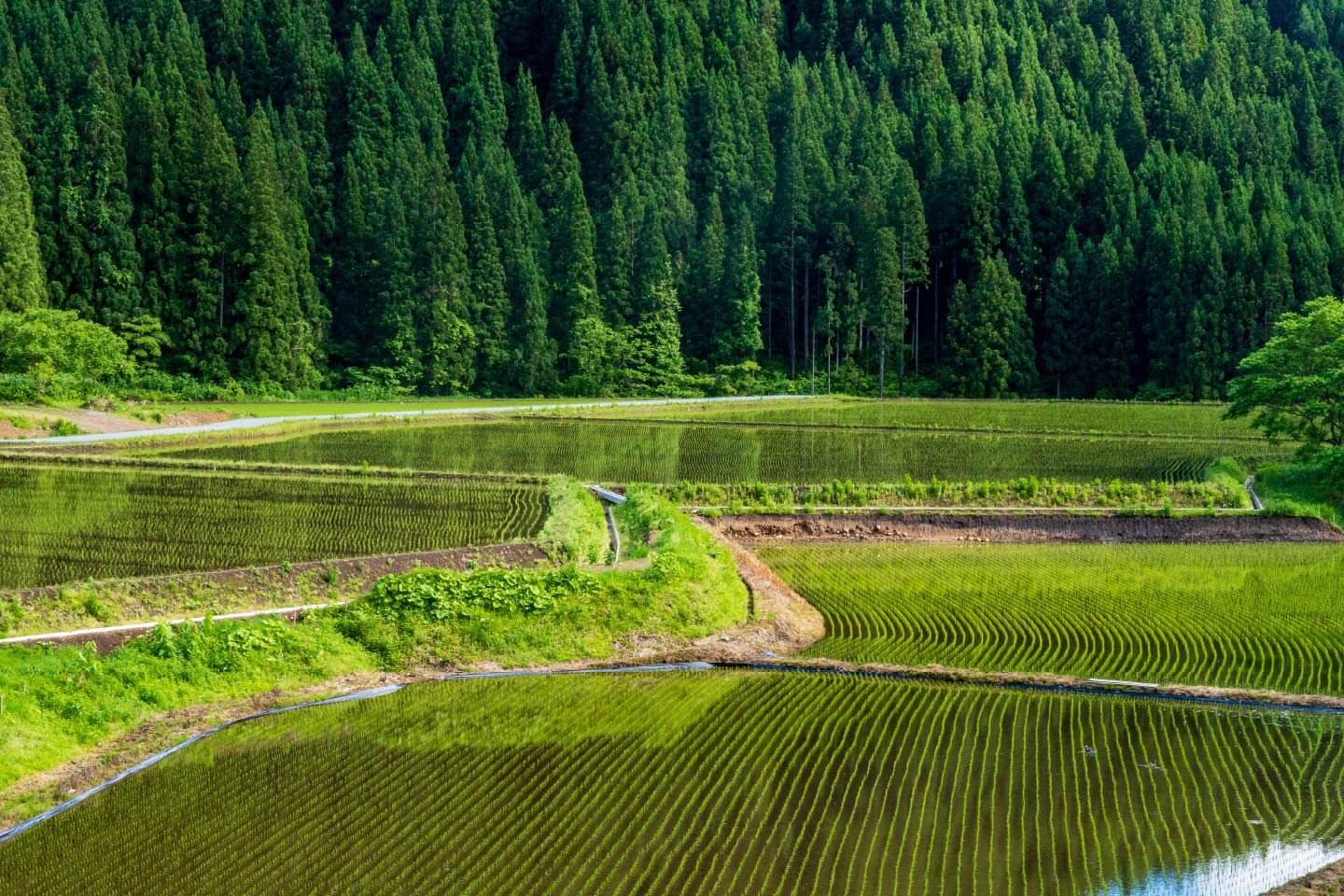 1. 目利きにこだわる